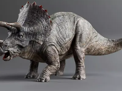 TRICERATOPS Low-poly 3D model