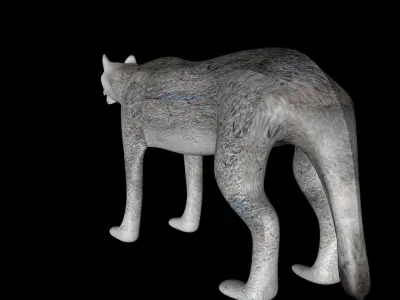 Gray Wolf Free 3D model