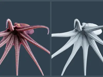 Animated Common Octopus Low-poly 3D model