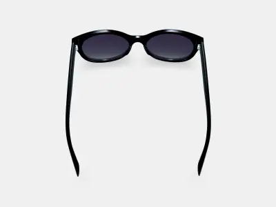 Annika Sunglasses in Jet Black 3D model