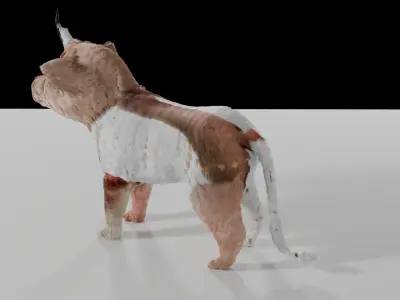 dumara 3d Low-poly 3D model