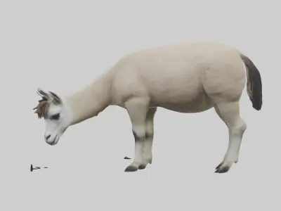 Lama grazing model Low-poly 3D model