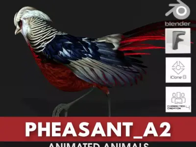 Pheasant A2 3D model