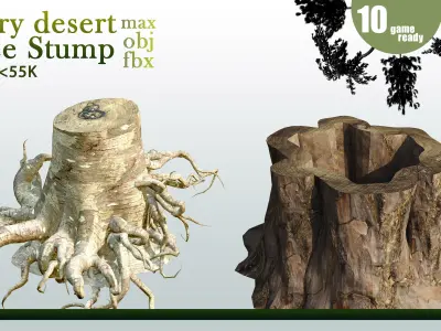 10 Tree Stump VOL 06 3D model