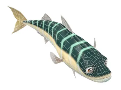 Blue Mackerel Animated Fish Low-poly 3D model