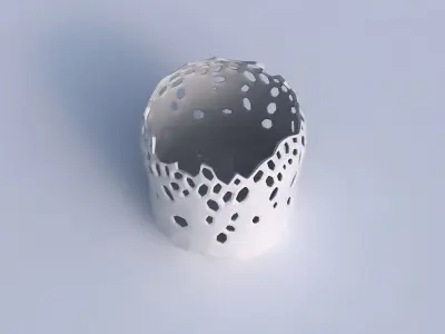 Bowl cylindrical with smooth crystal skin with holes 2 3D model