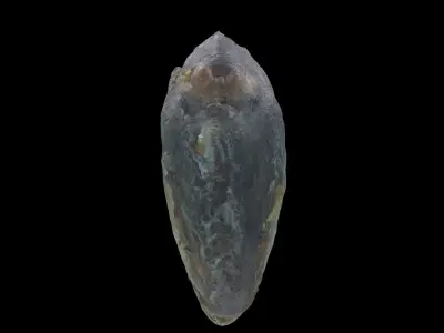 mackerel fried Low-poly 3D model