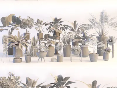 Plants in pots 3D model
