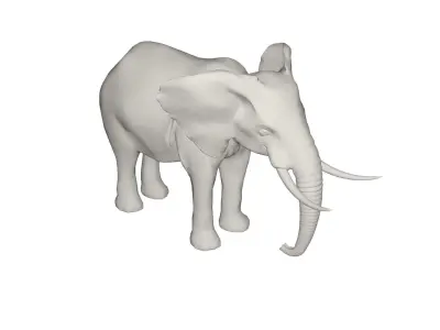 Elephant  3D model