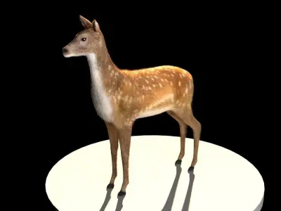 Deer 3d model Low-poly 3D model