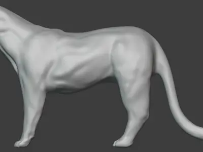Jaguar cat 3D model