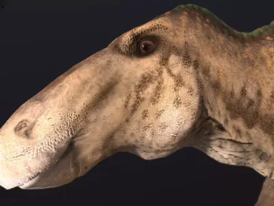 Edmontosaurus annectens Low-poly 3D model