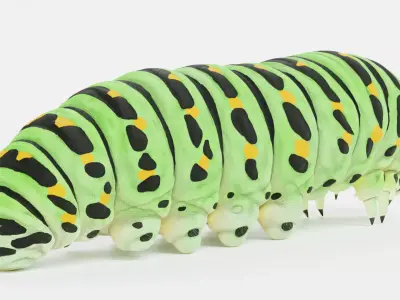 -Old World Swallowtail Caterpillar - Papilio Machaon- 3D model