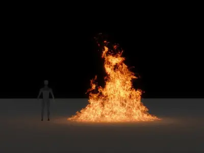 3D Fire Animation 3D model
