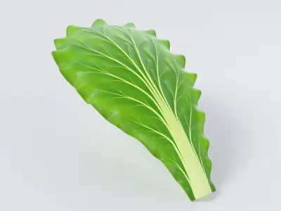 Cartoon Lettuce 3D model