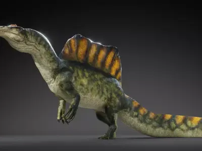 Spinosaurus Rig Free 3D model