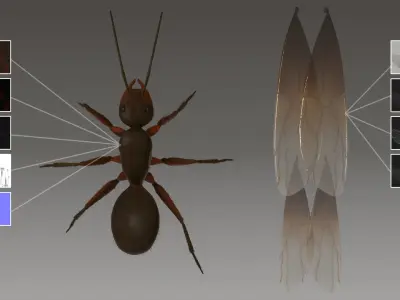 Flying Ant Rigged 3D model