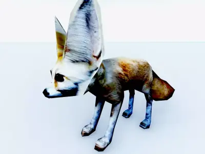 3d hd model of realistic fennec  sand fox  3D model