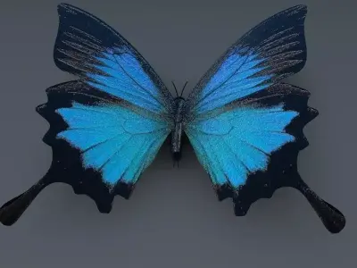 Blue Butterfly Low-poly 3D model