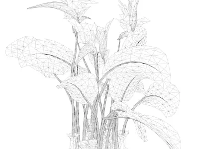 Bird of Paradise Flower - 10 - 3D model