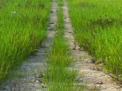 Path Meadow Landscape 3D model