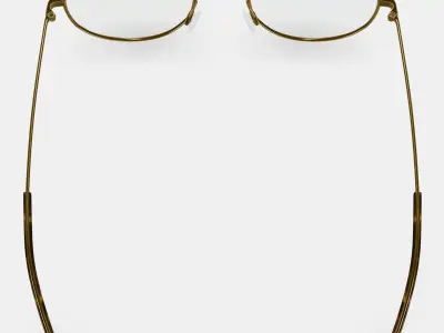 Rafael Eyeglasses in Polished Gold 3D model