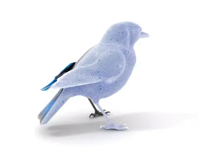 Azure Blue Jay model pack Low-poly 3D model