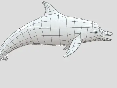 Dolphin Realistic Animated Low-poly 3D model