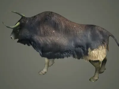 animals mammal animation nature wild ox yak domestic yak 3D model