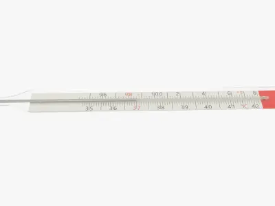 Medical Mercury Thermometer 3D model