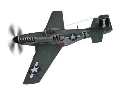 North American P-51D Mustang - Happy Jacks go Buggy 3D model