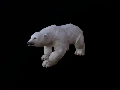 low-poly animated polar bear Low-poly 3D model
