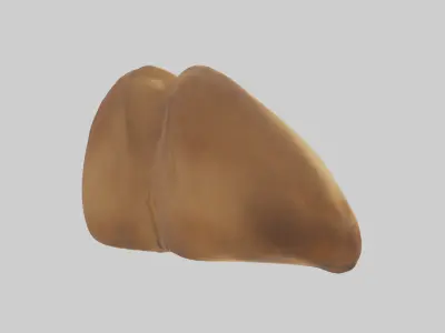 Camel Humps Low-poly 3D model