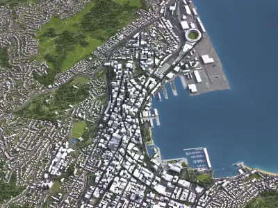 Wellington - 3D City Model Low-poly 3D model