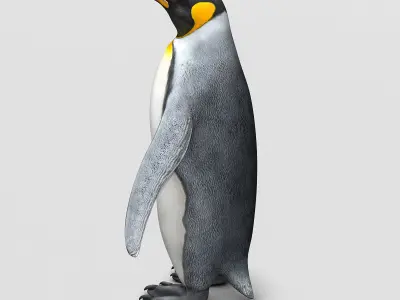 Penguin - King 3D model
