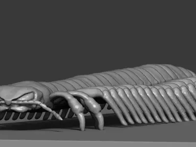 Centipede model 3D print model
