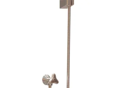 Shower Spray 3D model