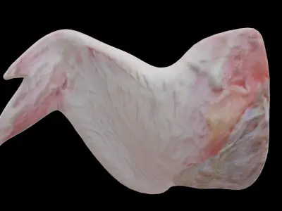 Wings of bird Low-poly 3D model