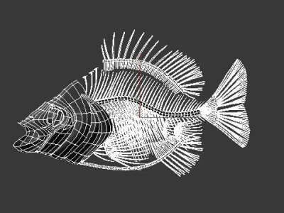 fish bone Low-poly 3D model