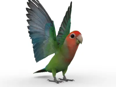 Lovebird Animated Low-poly 3D model
