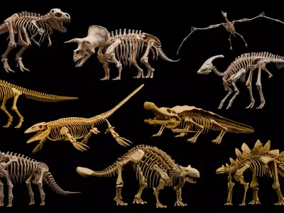 Realistic Ancient Reptilians Fossil Low-poly 3D model