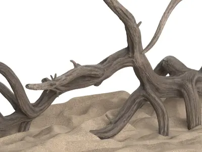 Dry Old Tree on Dune Surface 3D model