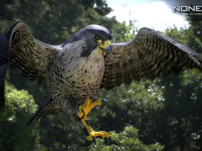 Animated Falcon 3D model