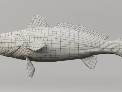 Tigertooth Fish 3D model