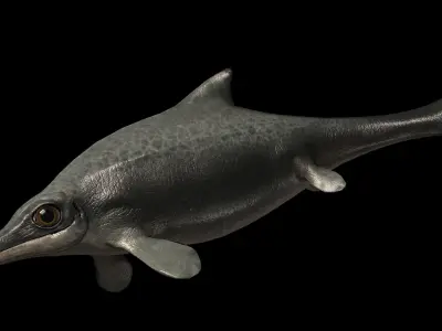 Ophthalmosaurus Asset Pack Low-poly 3D model