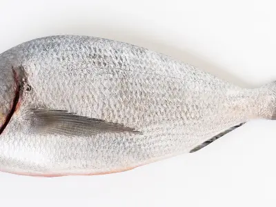 Fresh fish - Set of decor for the kitchen 3D model