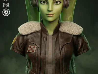 STAR WARS Hera Portrait Bust 3D print model
