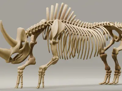 Relistic Mammals Fossil - Woolly Rhino Low-poly 3D model