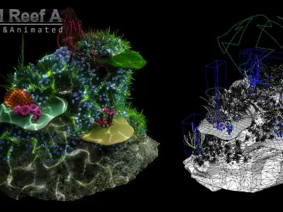 Cartoon Underwater Scene  Rigged Animated Blender  3D model