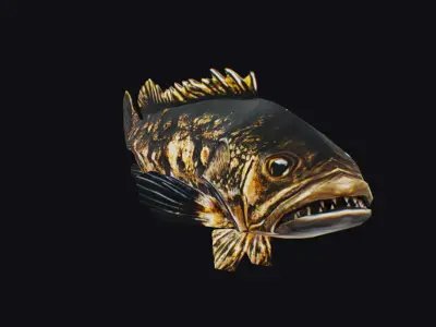 Freshwater Fish Animated Carp Largemouth Bass Smallmouth Perch Low-poly 3D model